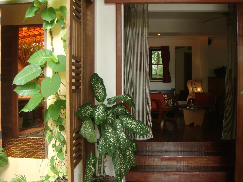 La Cigale Bed & Breakfast Koh Tao Room photo
