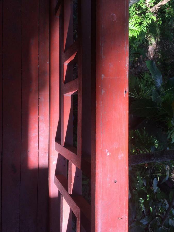 La Cigale Bed & Breakfast Koh Tao Exterior photo
